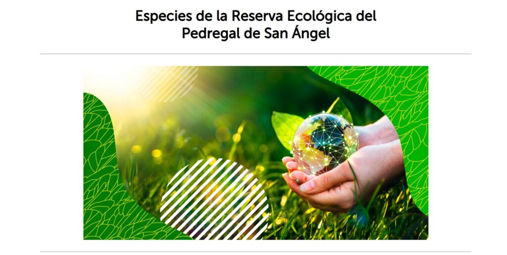 Esoecies Reserva Ecologica Pedregal San Angel Fundaci N Carlos Slim