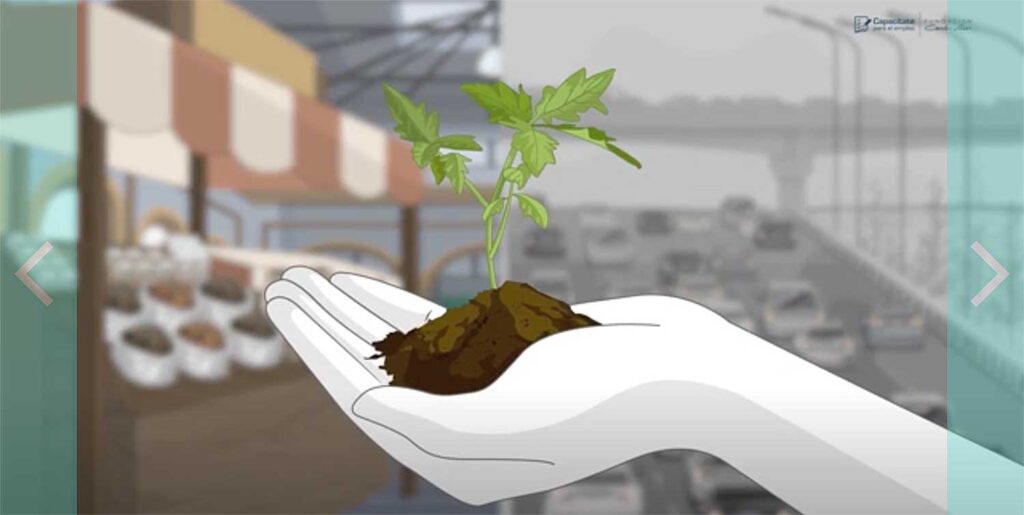 Curso Consumo Sostenible 1 Fundación Carlos Slim